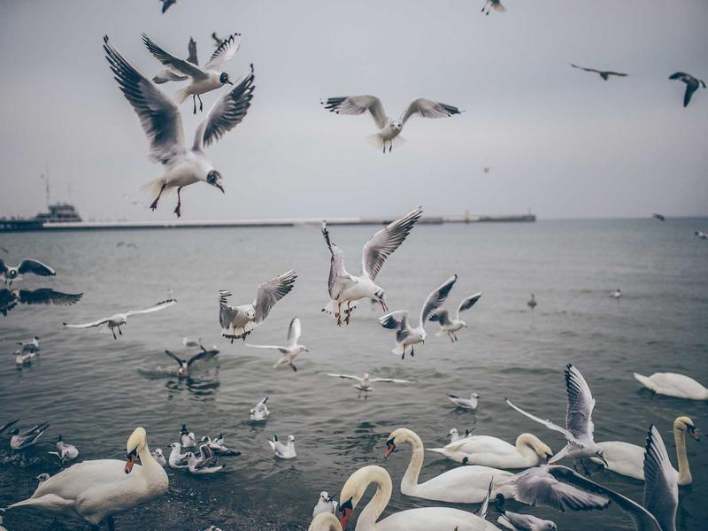 sudoku subset counting screenshot 5